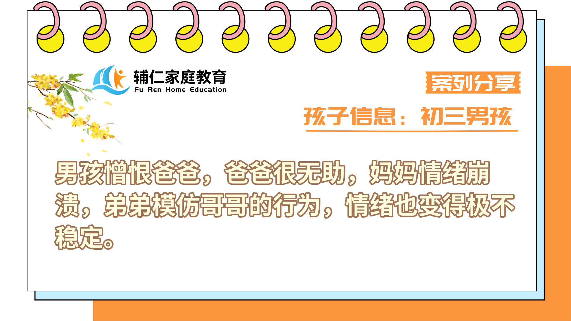 男孩憎恨爸爸，爸爸很无助，妈妈情绪崩溃，弟弟模仿哥哥的行为，情绪也变得极不稳定